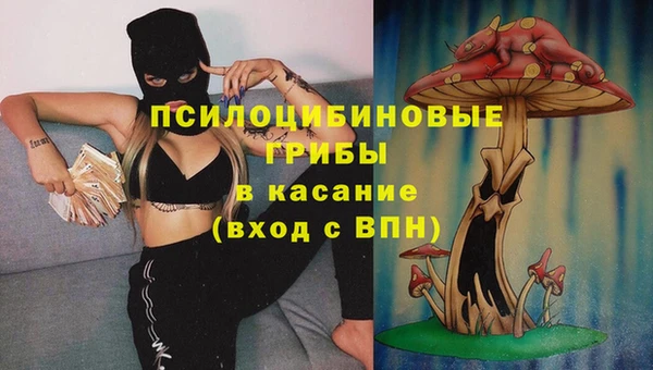 прущая мука Армянск