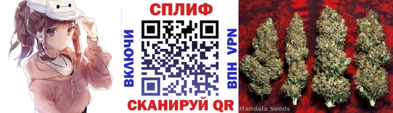 купить наркоту  KRAKEN рабочий сайт  Конопля сатива  Николаевск-на-Амуре 